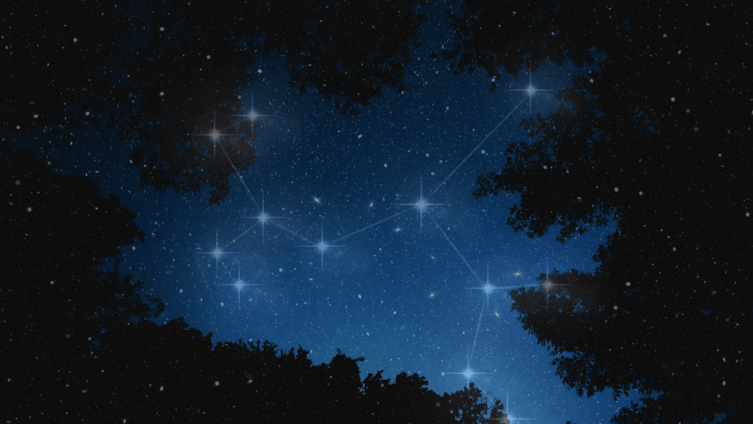 A deep blue night sky framed by the silhouette of trees, as if viewed from the forest floor looking up. Stars glitter across the sky in varying intensities, with one prominent constellation traced in faint glowing lines, its bright stars connected in a deliberate pattern. Gentle starts are static, but drift through the scene, adding a sense of quiet motion. The mood is vast, awe-filled, and quietly powerful—evoking the feeling of seeing something ancient, intentional, and mythic begin to take shape overhead.